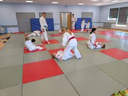 Image result for Bradley Stoke Judo Club