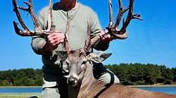 Image result for Big Bucks High Rollers