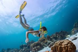 Image result for East Snorkellers