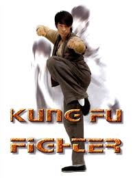 Image result for kung fu