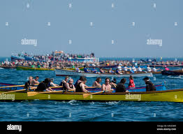 Image result for Isles Of Scilly Gig Racing Association