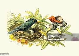 Attēlu rezultāti vaicājumam “Emberiza schoeniclus eggs”