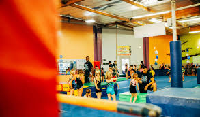 Image result for Fish trampoline and gymnastics club
