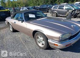 Image result for Rose Bronze 1995 Jaguar