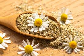 Image result for Matricaria recutita (chamomilla)