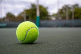 Image result for Gosfield Lawn Tennis Club