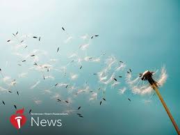 Attēlu rezultāti vaicājumam “pollen corona”