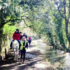 Image result for Thames Valley Riding Club