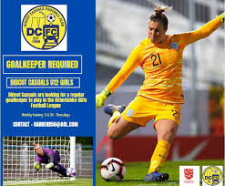 Image result for Didcot Ladies Casuals Football