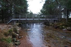 Image result for The Cairngorm Club