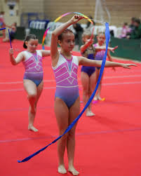 Image result for Stevenage Sports Acro Club