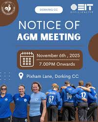 Image result for Old Dorkinian Cricket Club