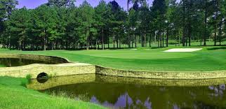 Image result for Arscott Golf Club