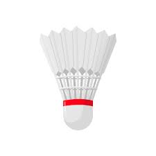 Image result for St Ives Junior Badminton Club