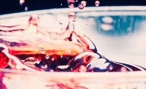 Image result for Bristol Invicta Rifle Club