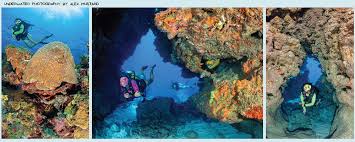 Image result for Castle Rushen Divers