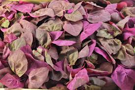 Image result for Neuseeländer Salat