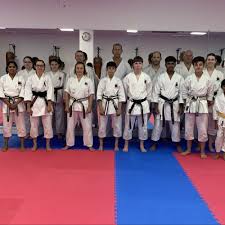 Image result for Haxby karate club