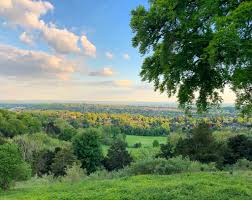 Image result for Reigate Priory Bowmen