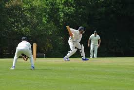 Image result for Walmley Cricket Club