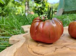 Afbeeldingsresultaat voor marizol purple tomato