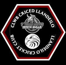 Image result for Bronwydd Cricket Club