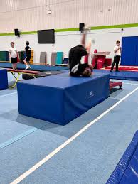 Image result for Wiltshire School Of Gymnastics