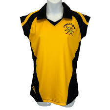 Image result for Lansdown Hockey Club