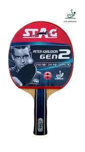 Image result for Generation 2 Table Tennis Club