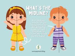 Image result for body midline