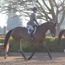 Image result for Winchester Riding Club