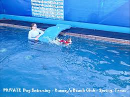 Image result for Hazel Grove & Bramhall Swimming Club