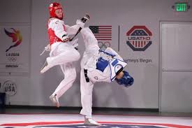Image result for Taekwondo Athletes Program USA