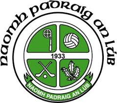 Image result for St Patrick`s Gac, Saul