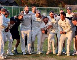 Image result for Sibton Park Cricket Club