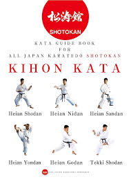 Image result for Shotokan Karate
