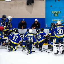 Image result for Oxford Blues Skater Hockey Club