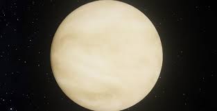 Image result for venus