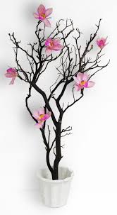 My DIY Manzanita Centerpieces..Advice :  wedding manzanita centerpiece Images?q=tbn:ANd9GcRqy DTOzoptTjX5Eu2EDDmWoIU0B3h8xzjckODMt8LPUON8JSX4g