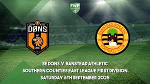 Image result for Banstead Athletic Fc