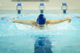Image result for Selby Tiger Sharks Swimming Club