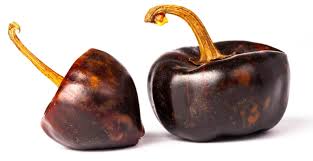 Afbeeldingsresultaat voor numex sandia hot pepper