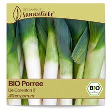 Image result for Porree