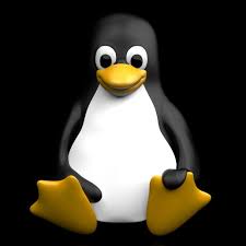 Image result for linux tux