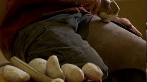 Image result for feuille-laurier-silex