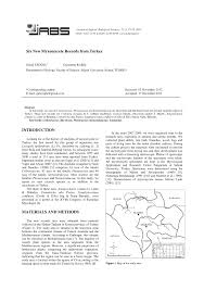 Attēlu rezultāti vaicājumam “Licea testudinacea plasmodium”