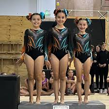 Image result for Aero Gymnastics Club