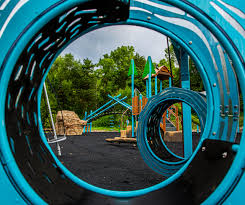 Image result for Sycamore Ttc