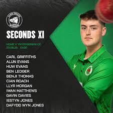 Image result for Ynysygerwn Cricket Club