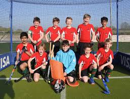 Image result for Norwich Dragons Hockey Club